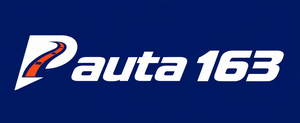 Pauta 163